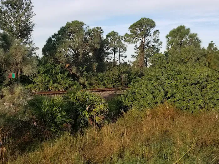 Alligator Mobile Home & RV Pk Picture 6