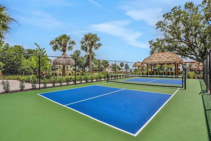 Harbor View On The Bay Picture 9