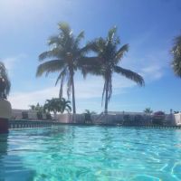 Emerald Lake ico