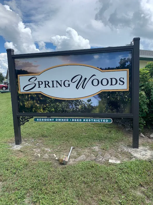 Spring Woods Mobile Home Picture 3