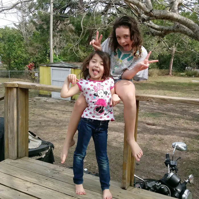 Spring Woods Mobile Home Picture 9