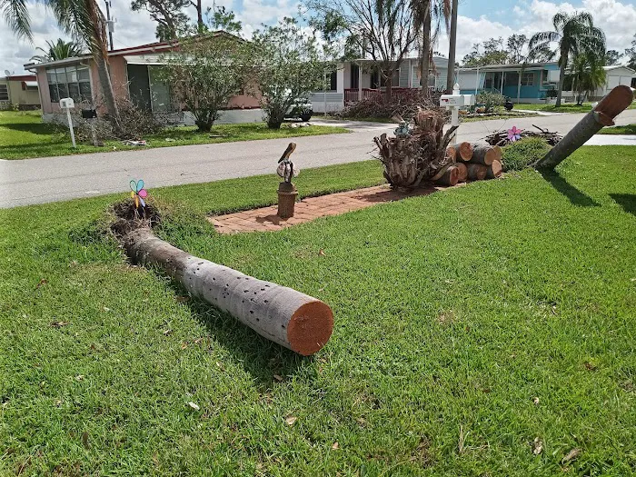 Forest Park Mobile Home Park Picture 4