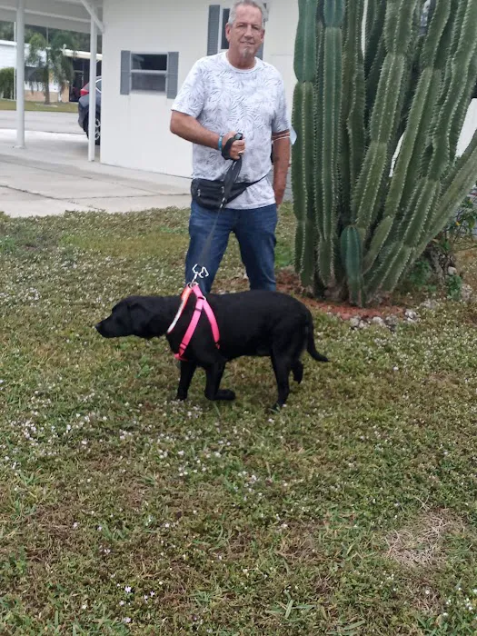 Forest Park Mobile Home Park Picture 8