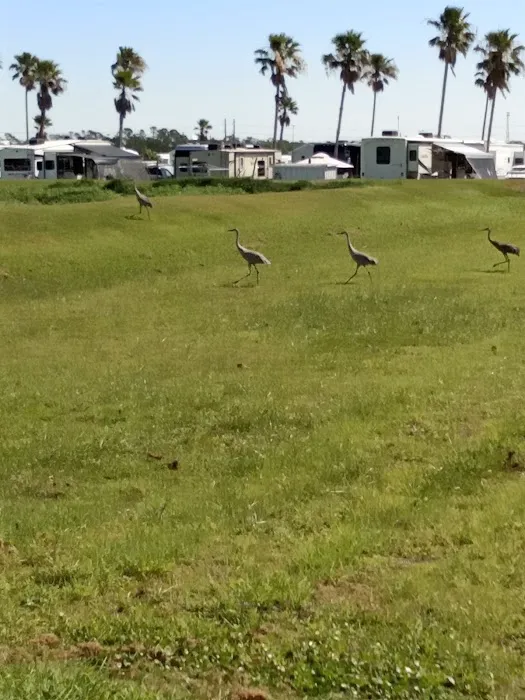 Toby's RV Resort Picture 9