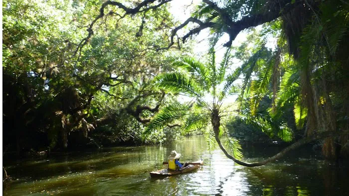 Estero Bay Village Picture 5