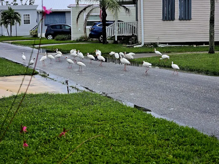 Mariner's Cove Park - Home Owners Association Picture 1