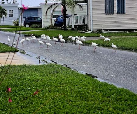 Mariner's Cove Park - Home Owners Association