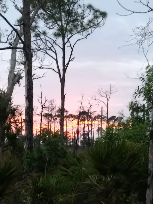 Calusa Cove RV Park Picture 10
