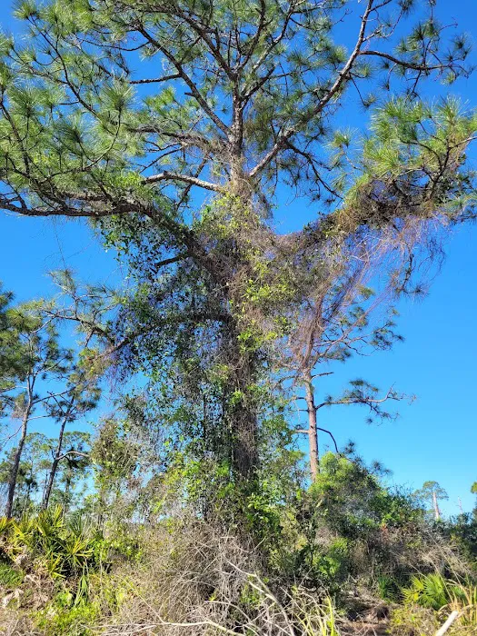 Calusa Cove RV Park Picture 9