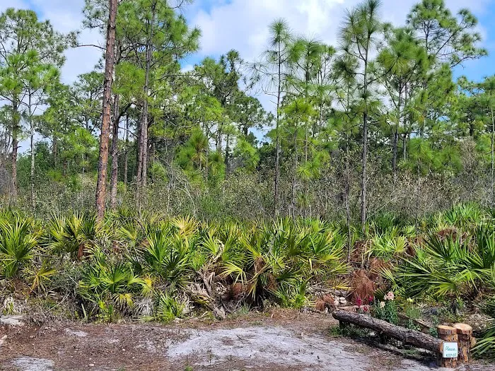 Calusa Cove RV Park Picture 7
