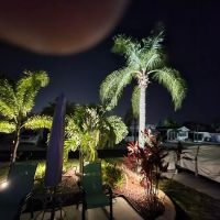 Leisure Time Park ico