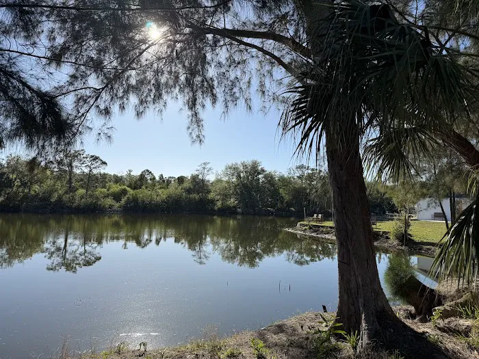 Gulf Coast Camping Resort Picture 4