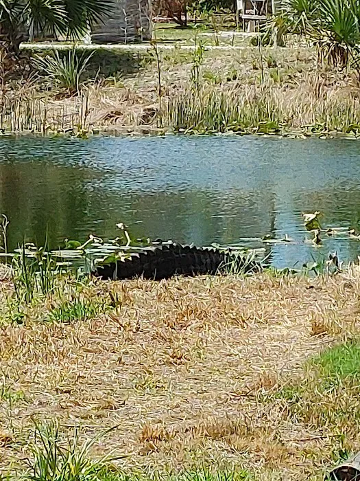 Lakes Park RV Picture 9