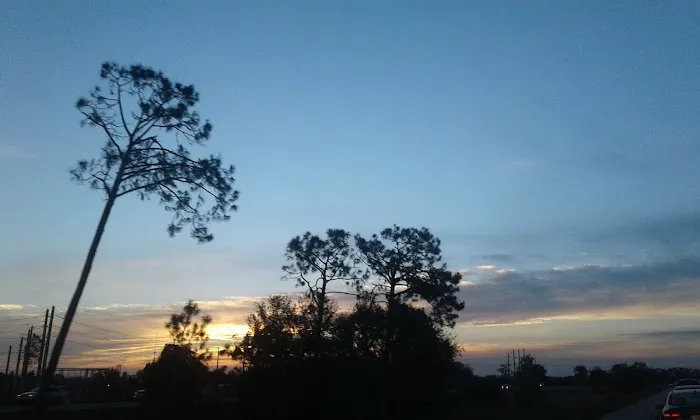 Southern Pines Picture 5