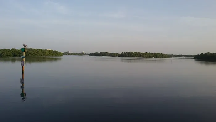 Port Carlos Cove Picture 5