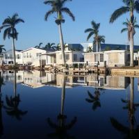 Port Carlos Cove ico