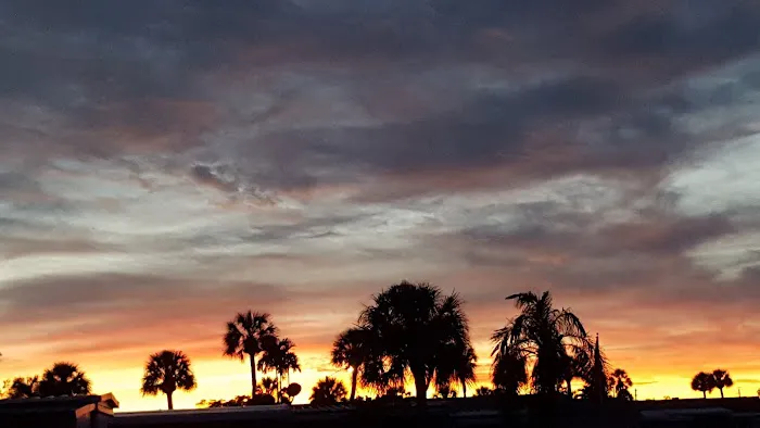 Bayside Estates Picture 4