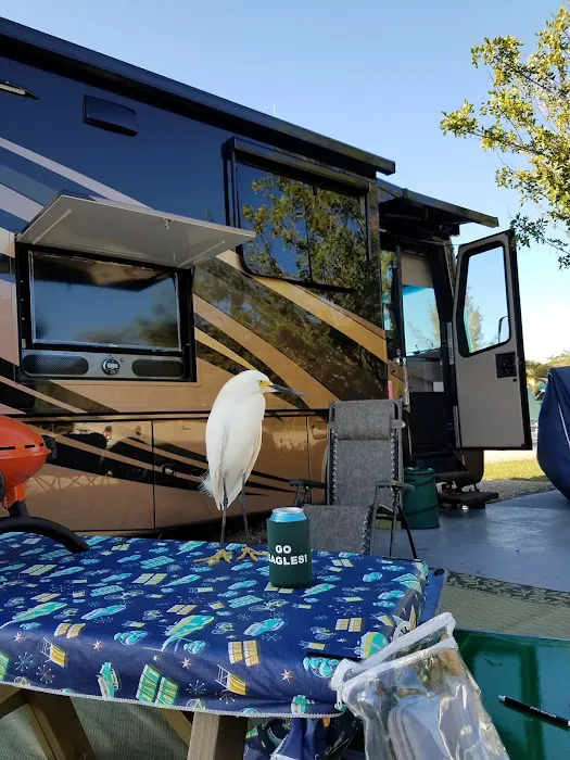 Ebb Tide RV Park Picture 6