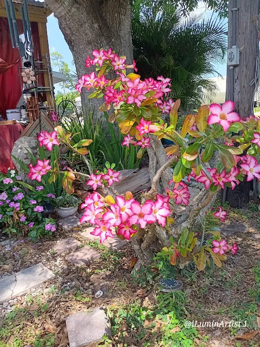 Labonte's Garden RV Park Inc Picture 6