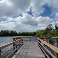 Maralago Cay ico