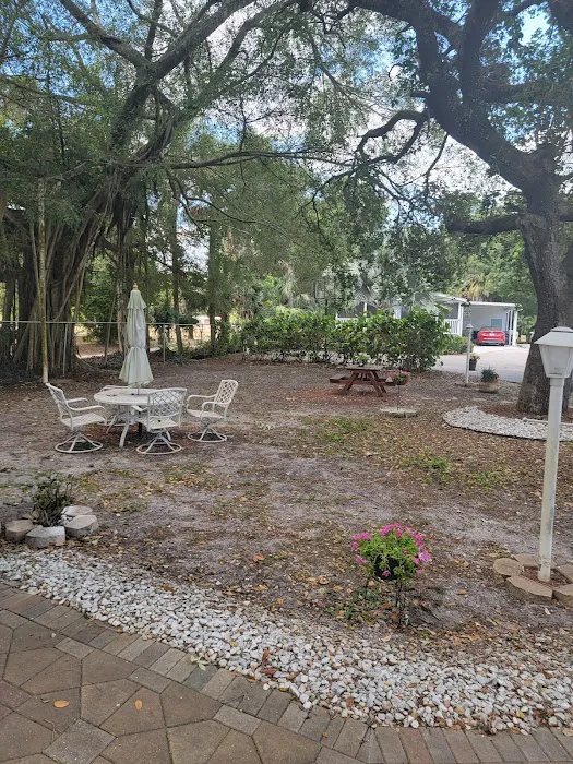 Palm Lake RV Resort Picture 5