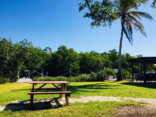 Palm River Village Picture 3