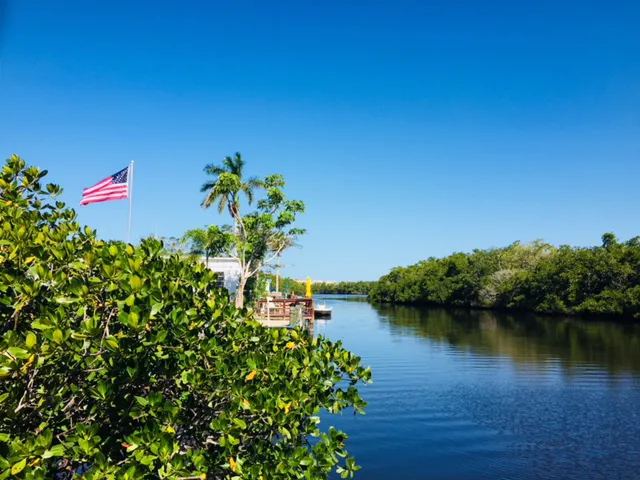 Palm River Village Picture 2