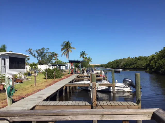 Palm River Village Picture 1