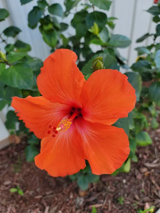 Endless Summer RV Resort Picture 6