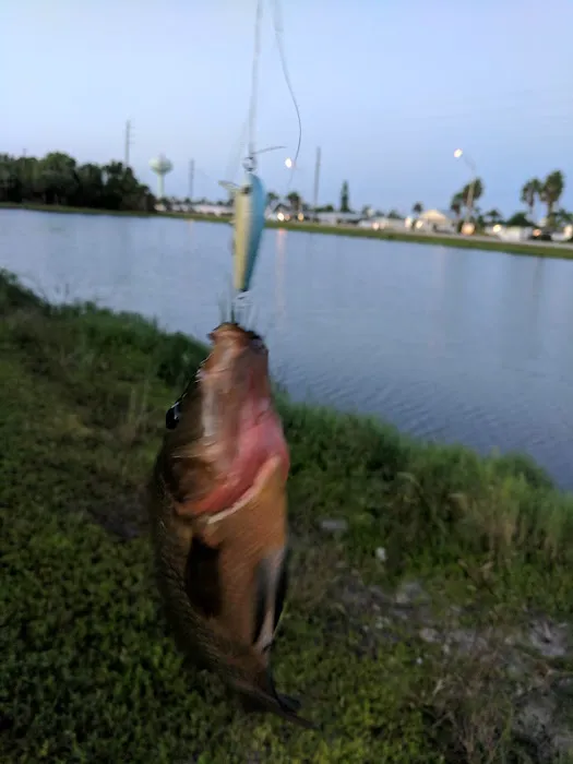 River Haven Inc. Picture 5