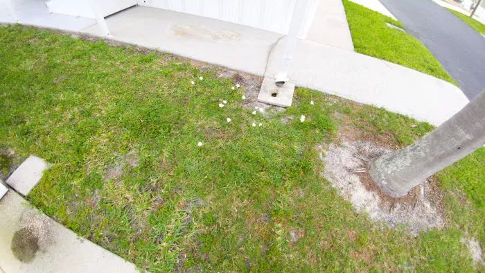Parkhill Estates Picture 4