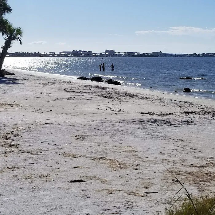 Palmetto Palms RV Resort Picture 8