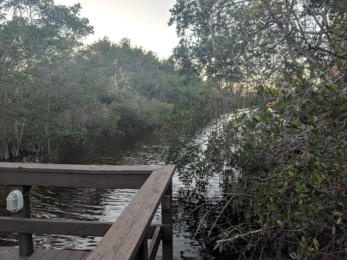 Palmetto Palms RV Resort Picture 9