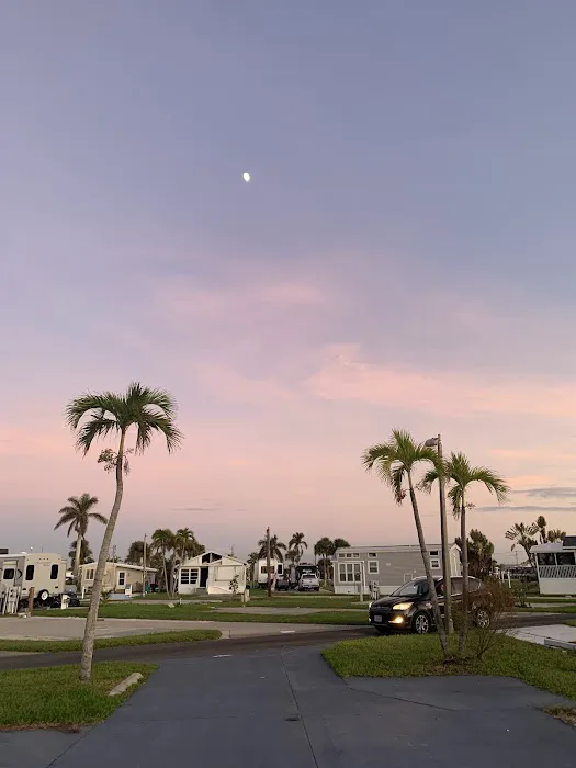Palmetto Palms RV Resort Picture 10