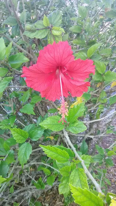 McGregor RV Park Picture 5