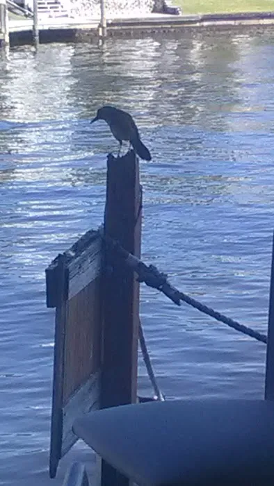 McGregor RV Park Picture 7