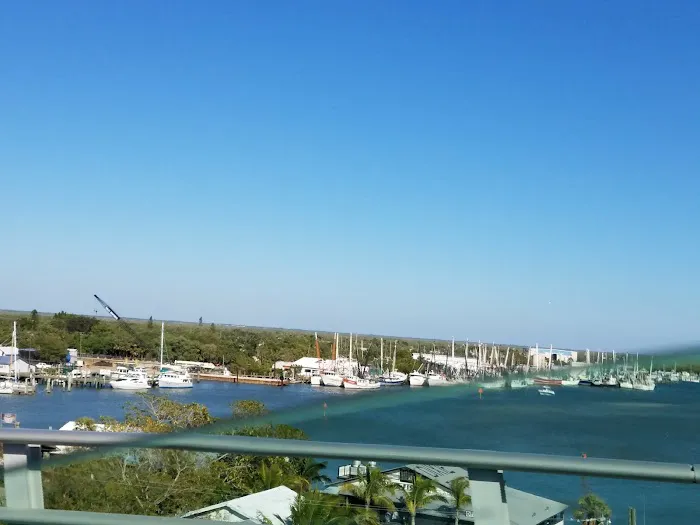 Gulf Cove Inc Picture 7