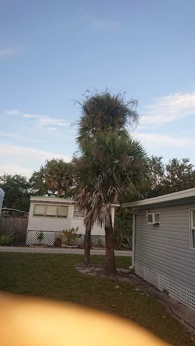 Gulf Cove Inc Picture 8