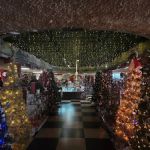 Lake Arrowhead Village