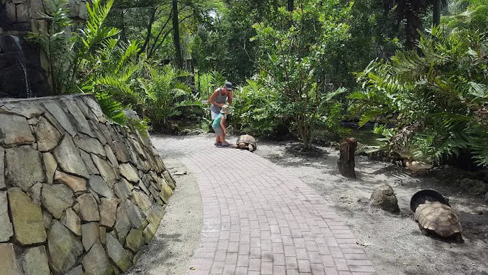 Lake Arrowhead Village Picture 8