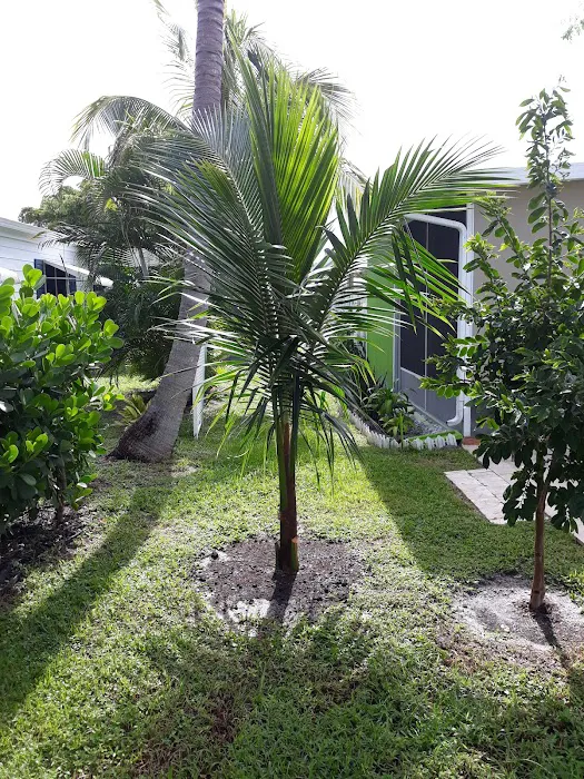 Sunny South Estates Picture 5