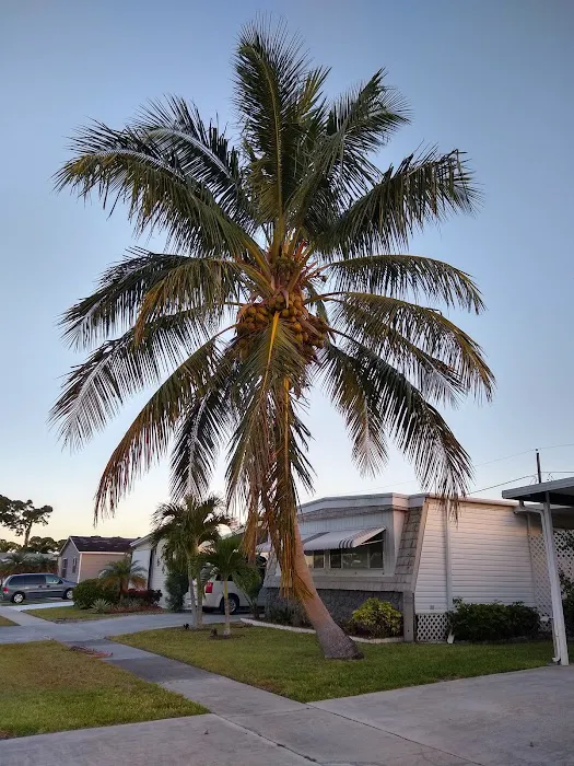 Tropical Breeze Estates Inc Picture 10