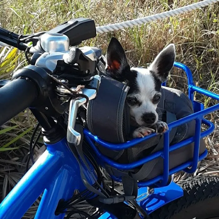 Jamaica Bay Inc Picture 6