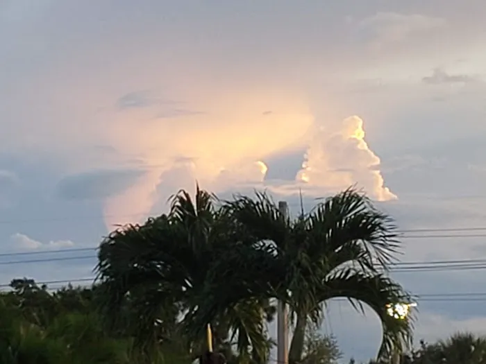 Jamaica Bay Inc Picture 4