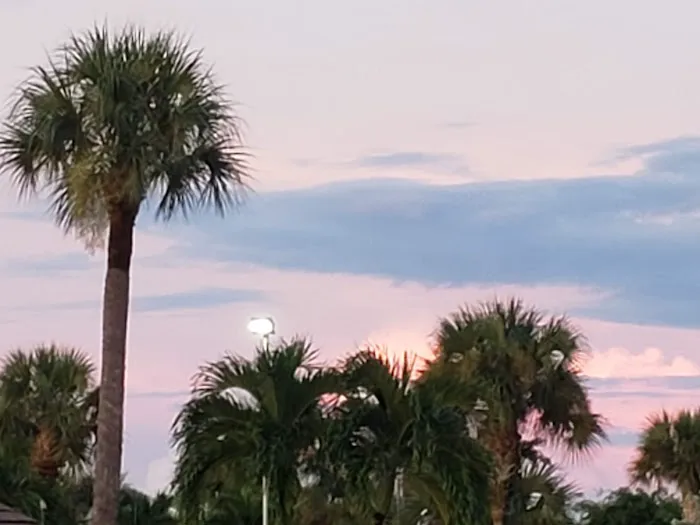 Jamaica Bay Inc Picture 5