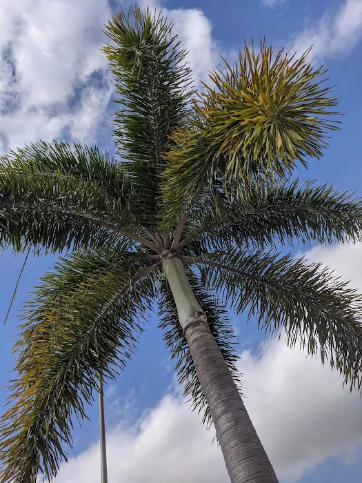 Jamaica Bay Inc Picture 8