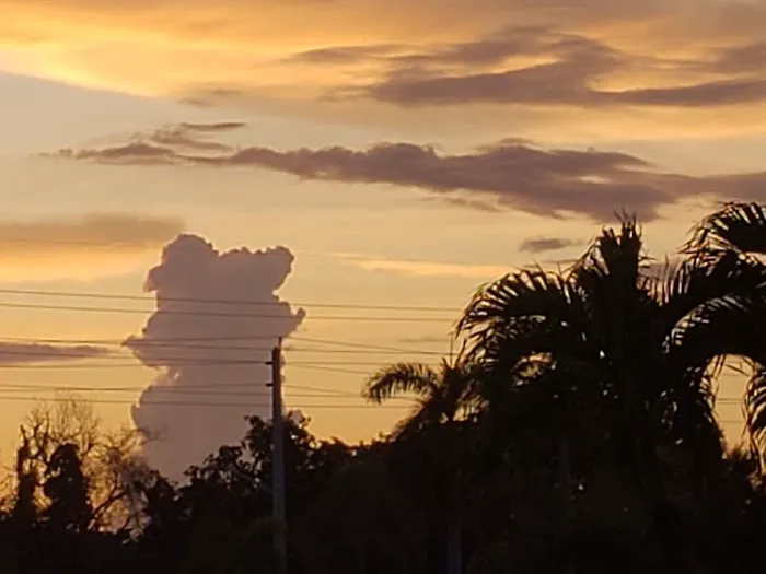 Jamaica Bay Inc Picture 9