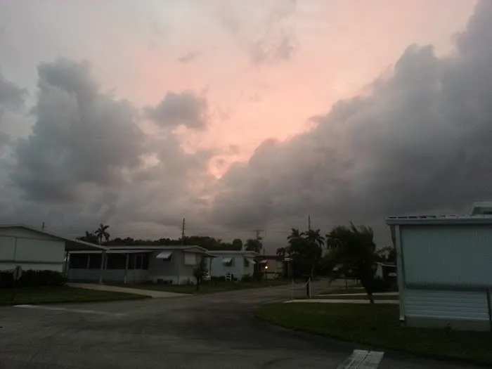 Jamaica Bay Inc Picture 7