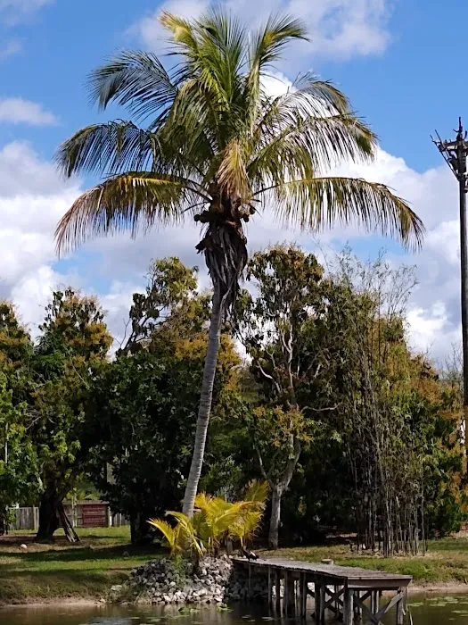Naples Mobile Home & RV Park Picture 8