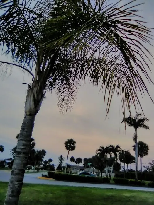 Riviera Colony Picture 6